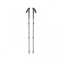 BETE DE TURA TRAIL BACK