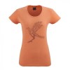 MANDARINE 
