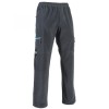 C-WHALES GREY/BLUE 